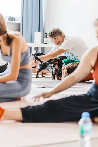 Pieski Yoga | Czyli najsłodsza Puppy Yoga w Katowicach